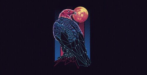 birds1 1130