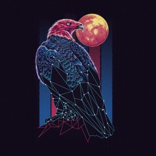 birds1_1130