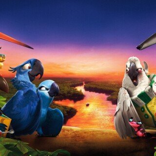 birds1_1284