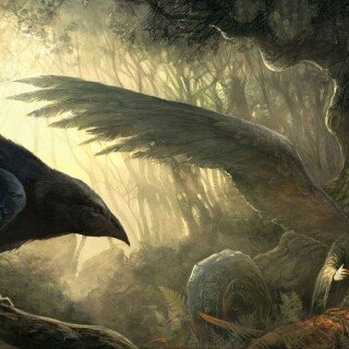 birds1_1400