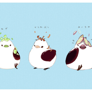 birds1_1611