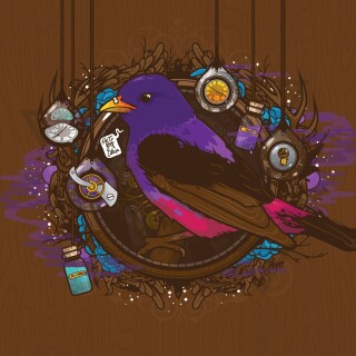 birds1_1648
