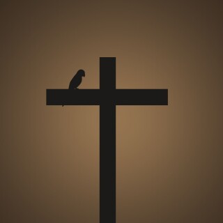 birds1_1684