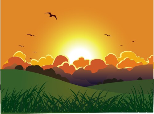 birds1 1804