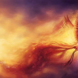 birds1_1830
