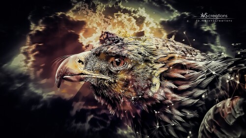 birds1 1839