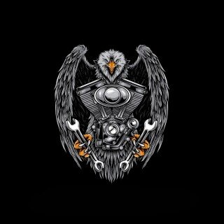 birds1_1901