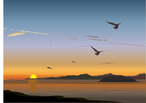 birds1 2108