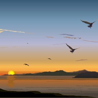 birds1_2108