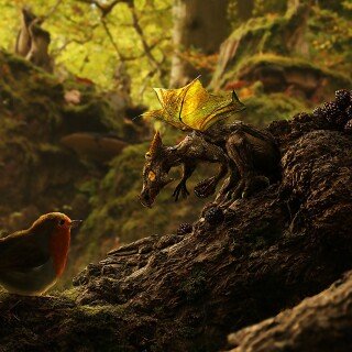 birds1_2158