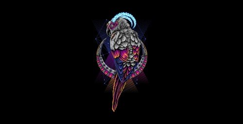 birds1 2174