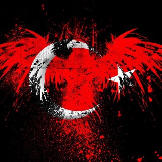 birds1_2208