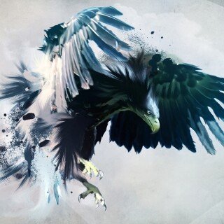 birds1_2282