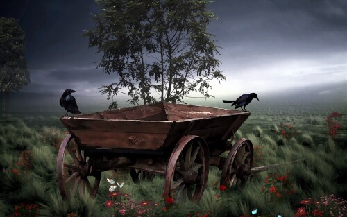 birds1_2319.jpg