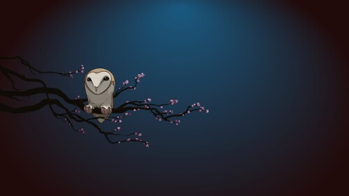 birds1 2371