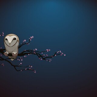birds1_2371