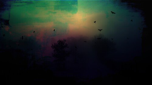 birds1 2461
