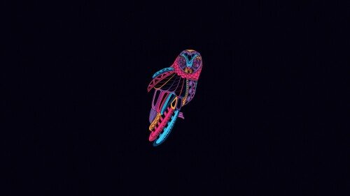 birds1 2469