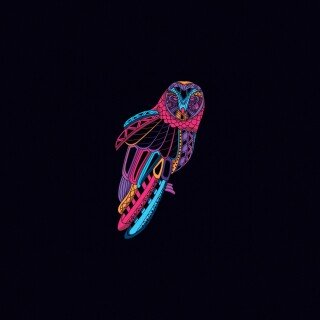 birds1_2469