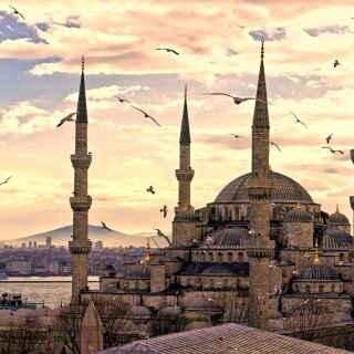 birds1_2475
