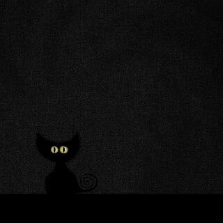 cats1_0025