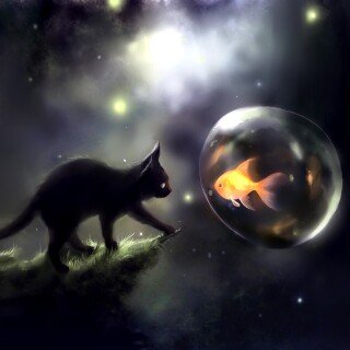 cats1_0055