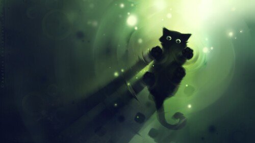 cats1_0064.jpg
