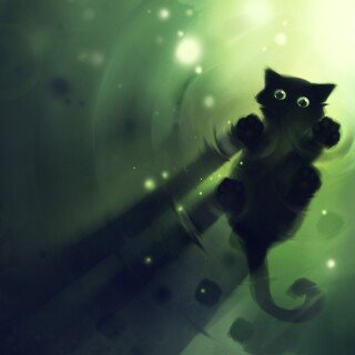 cats1_0064