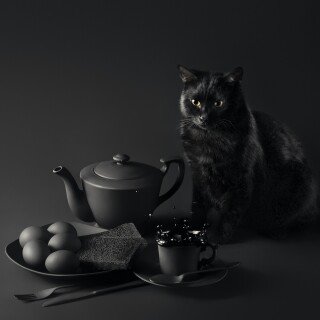 cats1_0081