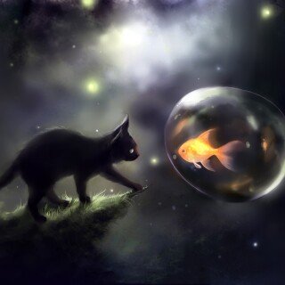 cats1_0131
