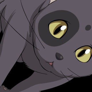 cats1_0186
