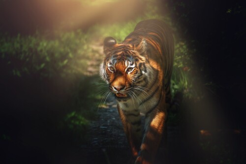 cats1 0419