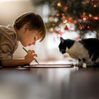 cats1_0425
