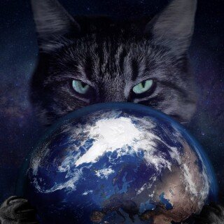 cats1_0458