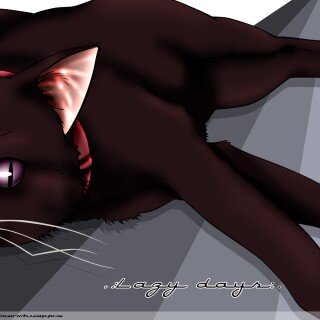 cats1_0685