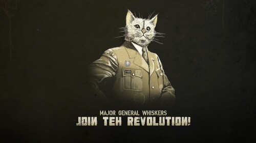 cats1 0705