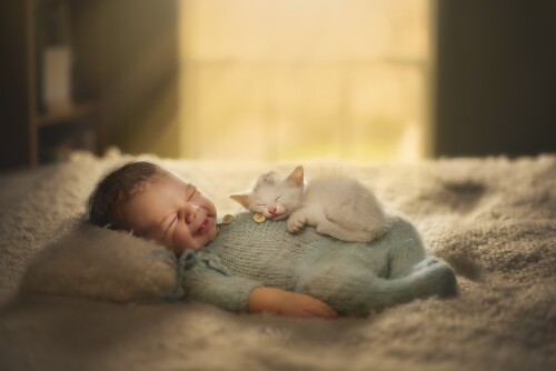 cats1 0735