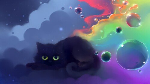 cats1 0889