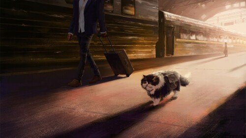 cats1 0989