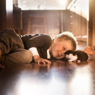 cats1_1148