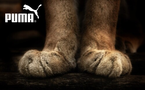 cats1 1220