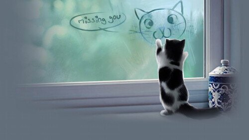 cats2 0004