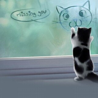cats2_0004