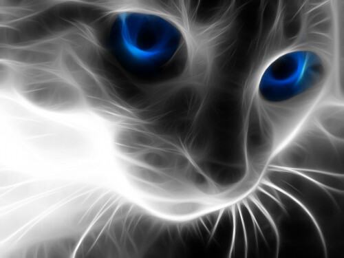 cats2 0010