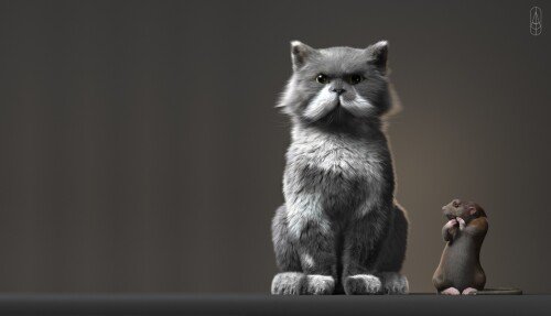 cats2 0177