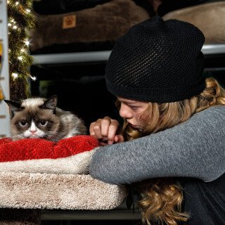 cats2_0255