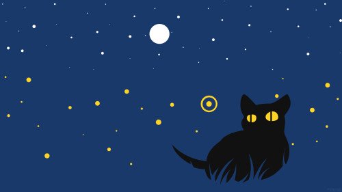 cats2 0513