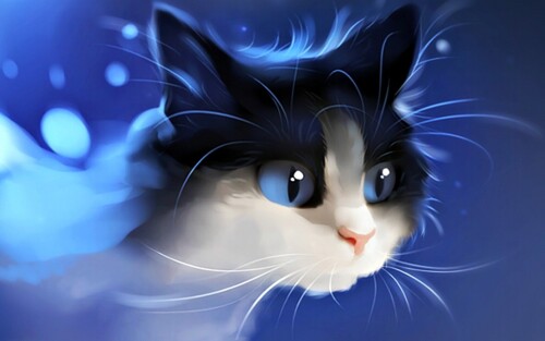 cats2 0561