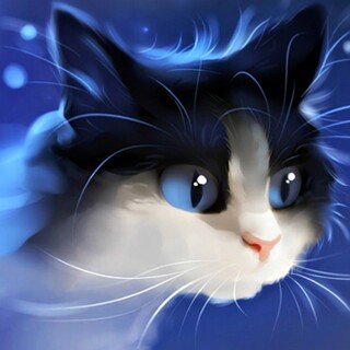 cats2_0561
