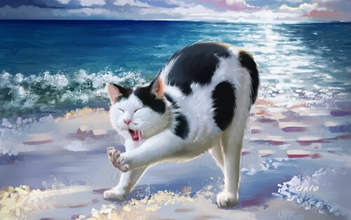 cats2 0787
